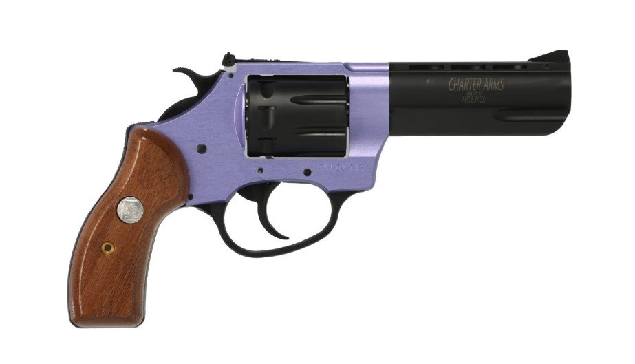 Charter Arms Pathfinder II 22 LR