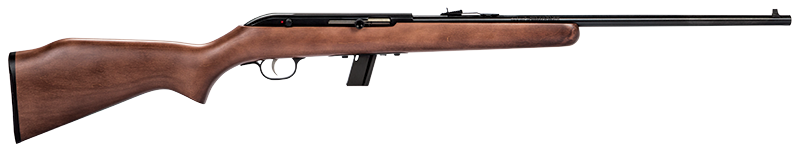 Savage Arms 64 G 22 LR