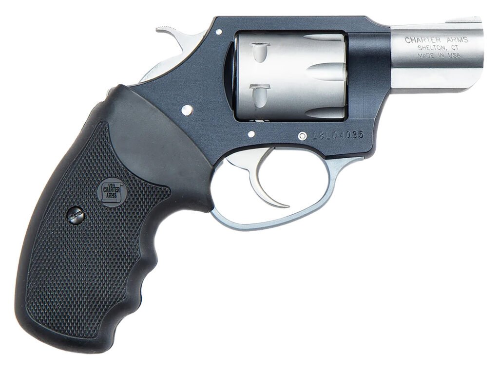 Charter Arms Pathfinder 22 Magnum