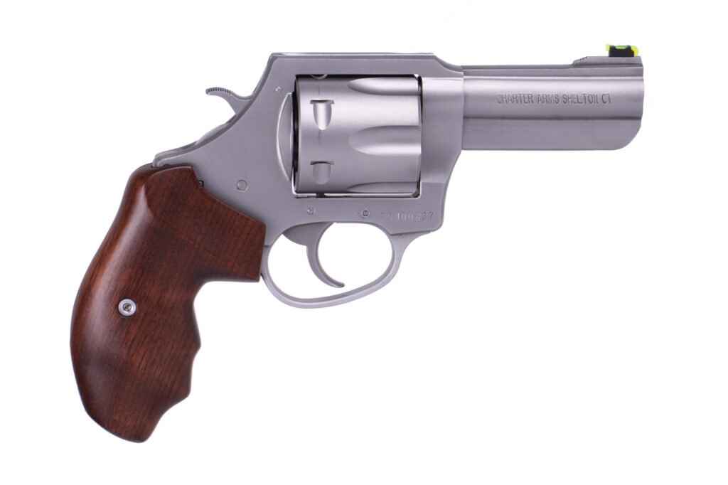 Charter Arms The PROFESSIONAL V 357 Magnum | 38 Special