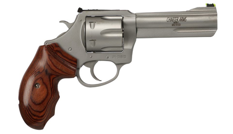 Charter Arms The PROFESSIONAL VI 357 Magnum | 38 Special