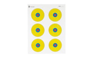 ACTION TGT BRIGHT 6 BULLSEYE 100PK