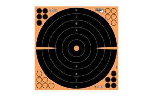 ALLEN EZ AIM 16"X16" BULLSEYE 5PK