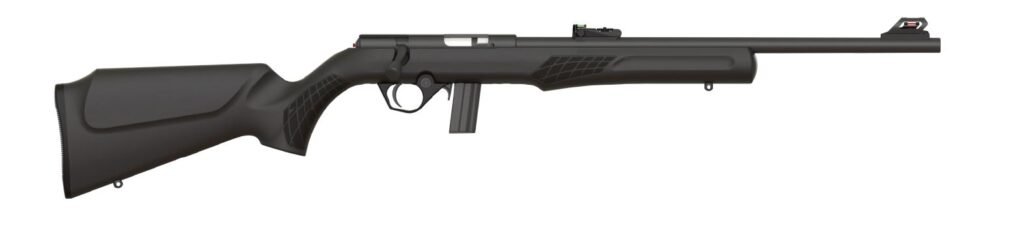 Rossi RB22 22 LR
