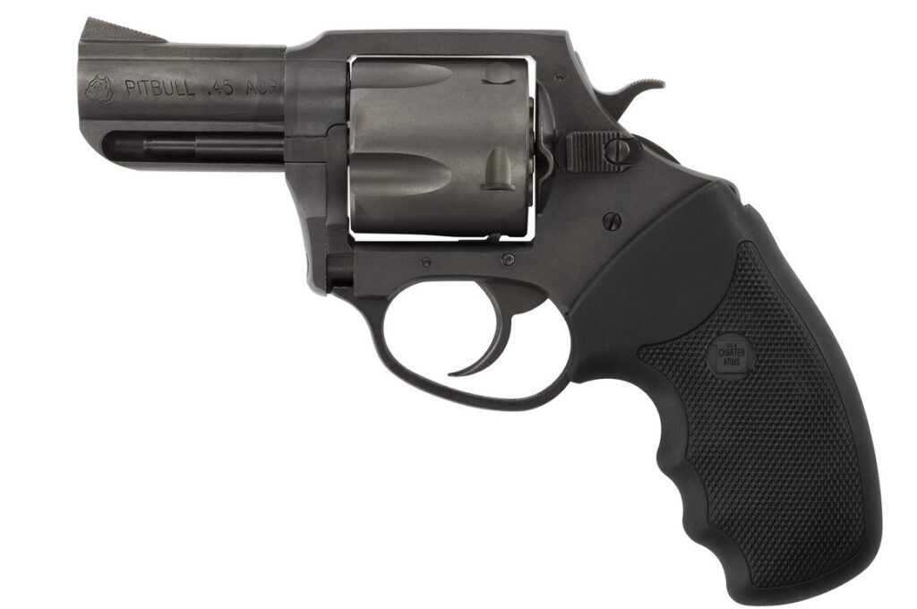 Charter Arms Pitbull 45 ACP