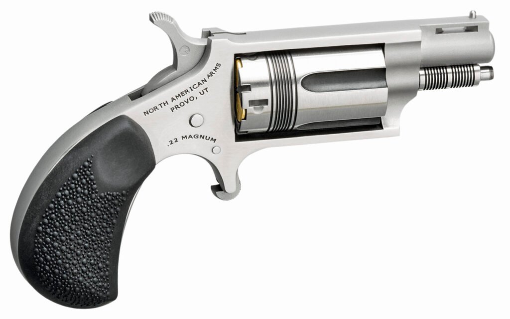 North American Arms The Wasp 22 Magnum