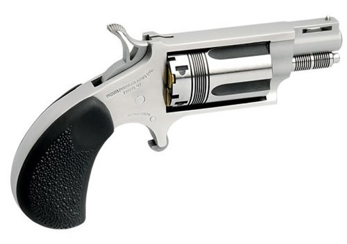 North American Arms The Wasp Convertible 22 LR | 22 Magnum