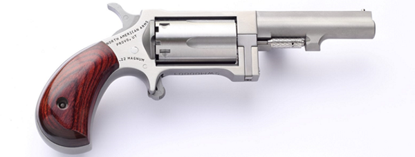 North American Arms Sidewinder 22 Magnum