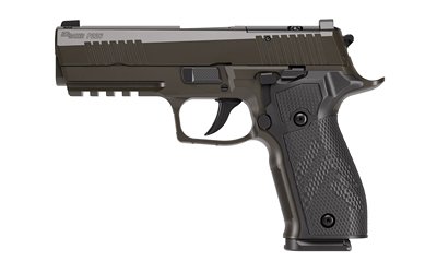 SIG P226 XLGN DA/SA 9MM 3.8 10RD GRY
