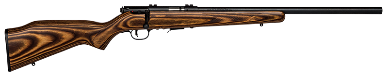 Savage Arms 93R17 BV 17 HMR