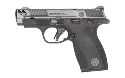 S&W BODYGRD 2 CC 380ACP 3.1" TS CA