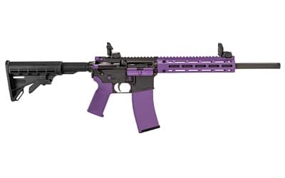 TIPPMANN M4-22 ACCENT 22LR 25RD PRP