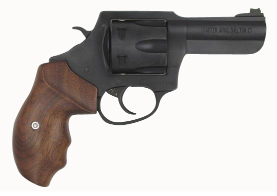 Charter Arms The PROFESSIONAL III 357 Magnum