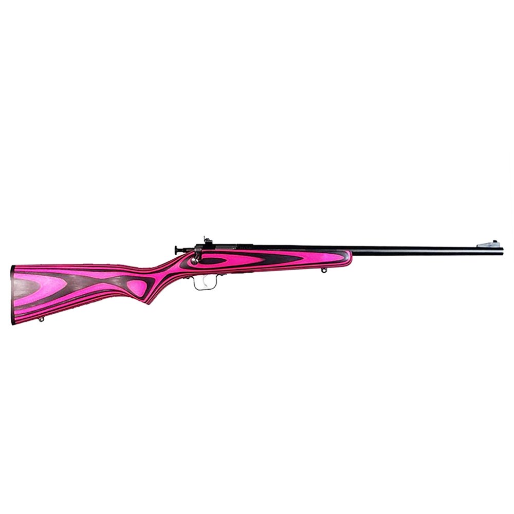 Keystone Sporting Arms Crickett 22 LR