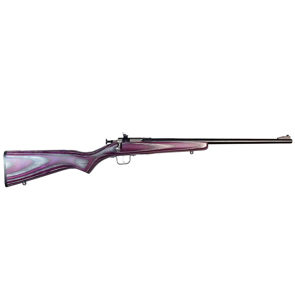 Keystone Sporting Arms Crickett 22 LR