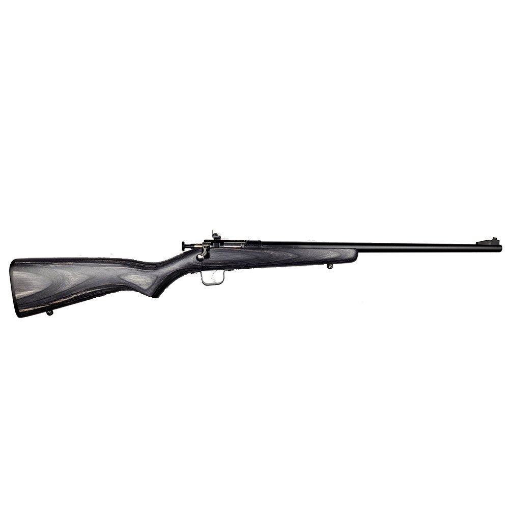 Keystone Sporting Arms Crickett 22 LR