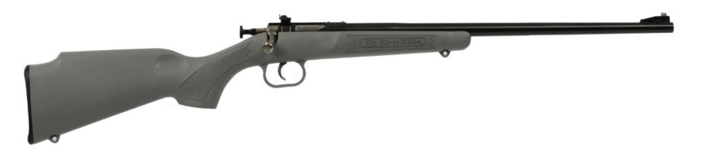 Keystone Sporting Arms Crickett 22 LR