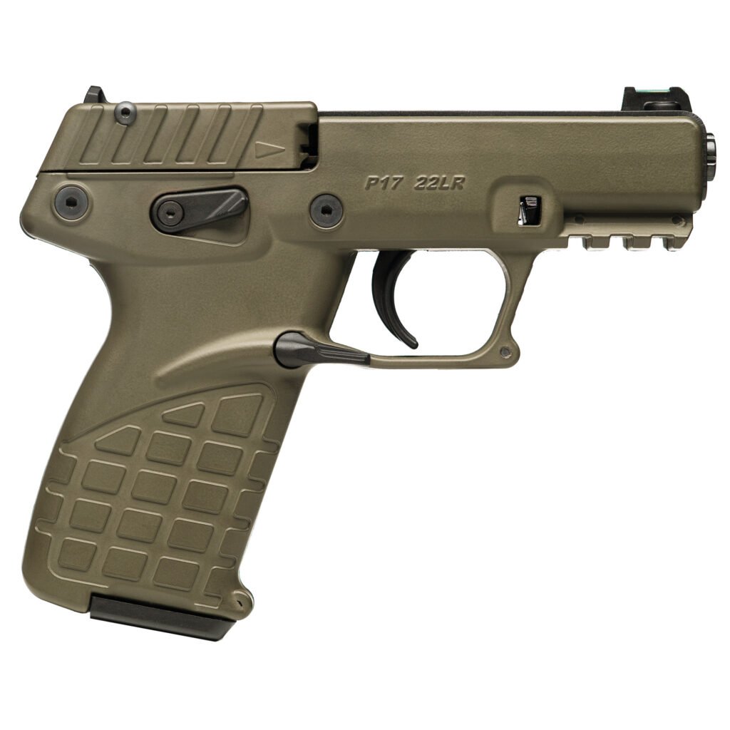 Keltec P17 22 LR