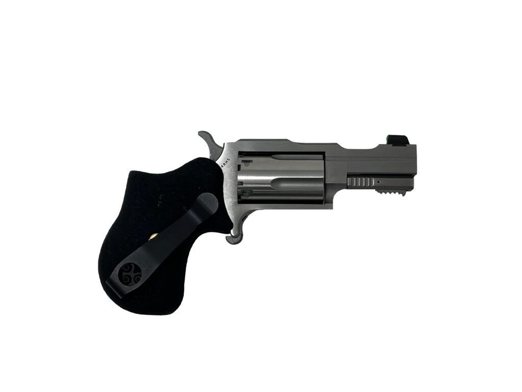 North American Arms Rule 1 22 Magnum