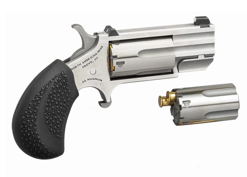 North American Arms Pug 22 LR | 22 Magnum
