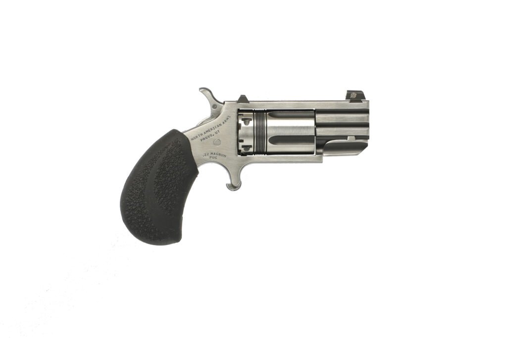 North American Arms Pug 22 Magnum
