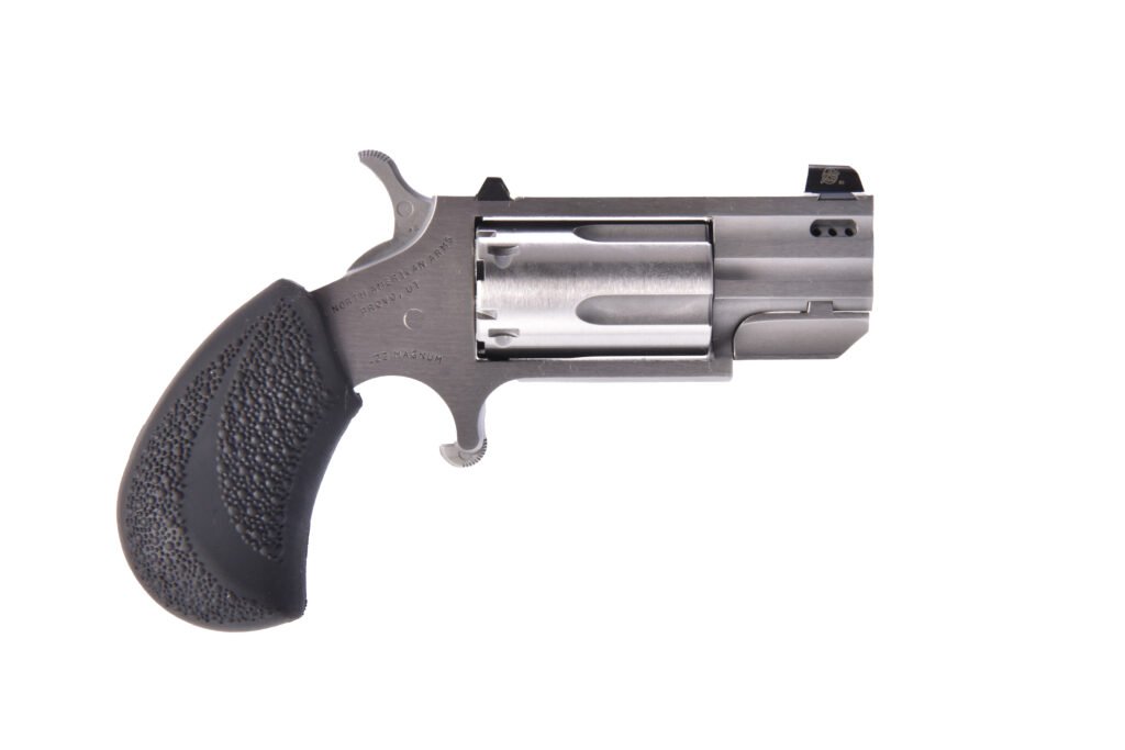 North American Arms Pug 22 LR | 22 Magnum
