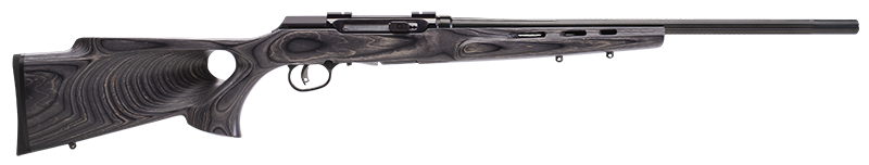 Savage Arms A22 22 LR