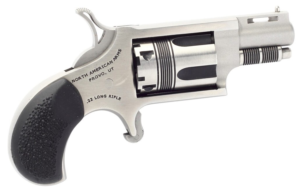 North American Arms The Long Rifle Wasp 22 LR