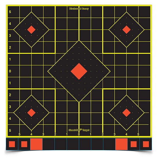 BC SHOOT-N-C 12 SIGHT IN TARGET 100PK