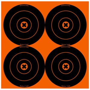 BC BIG BURST 6 TARGET 12/PKG