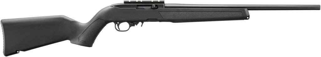 RUG 10/22 22LR 18.5 BLK 10RD RAIL