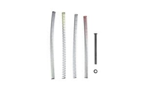 TRUE PREC RECOIL SPNG P365 FUSE 4.3"